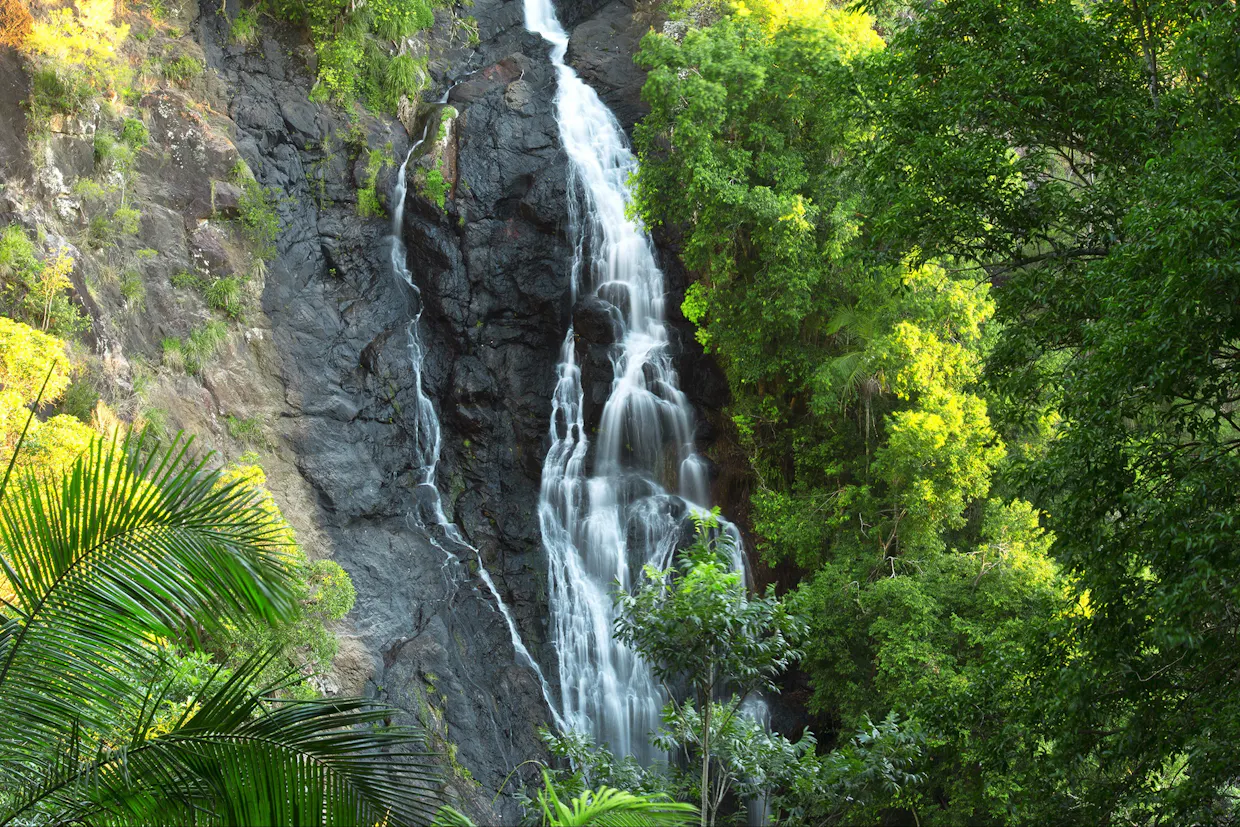 Kondalilla National Park