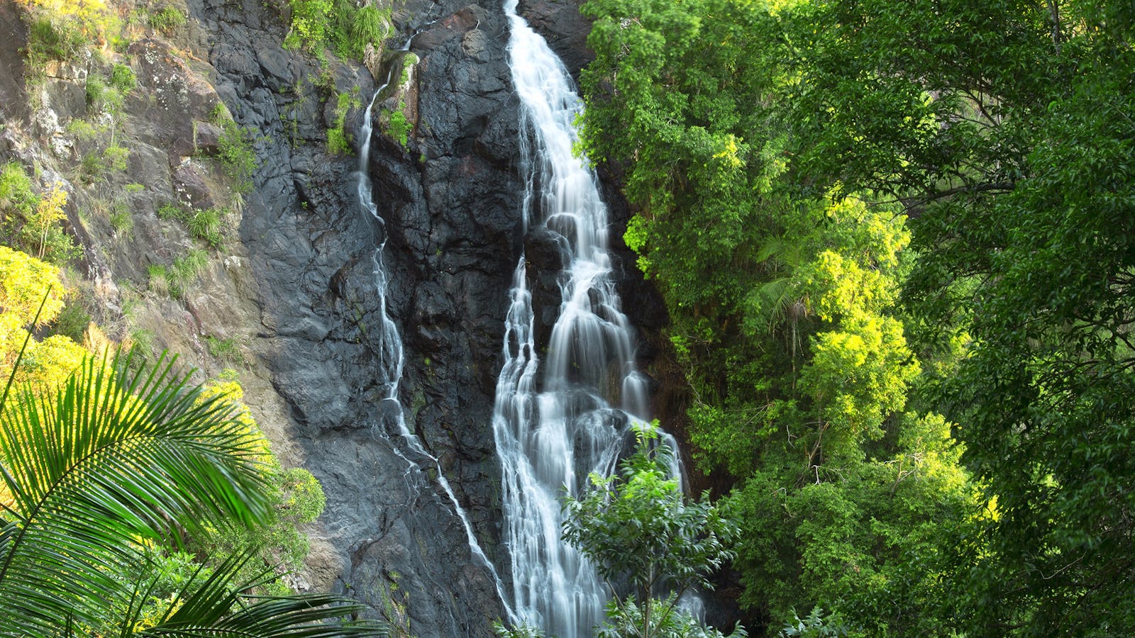 Kondalilla National Park