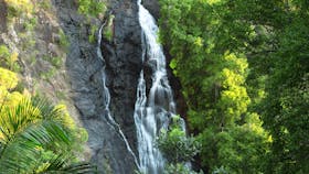 Kondalilla National Park