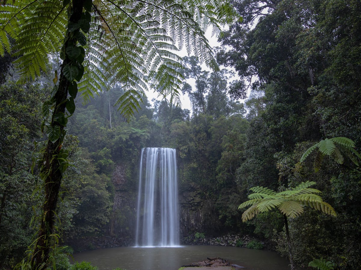 Millaa Millaa Falls, Atherton Tablelands