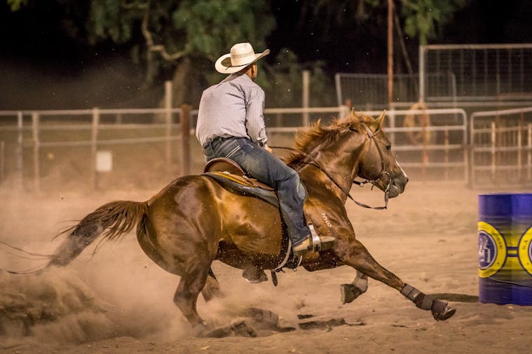 Rodeo by the Sea Streaky Bay (1)