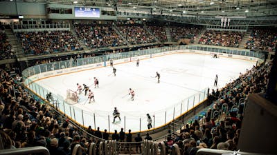 Image of Hockey Players
