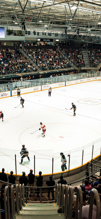 Image of Hockey Players