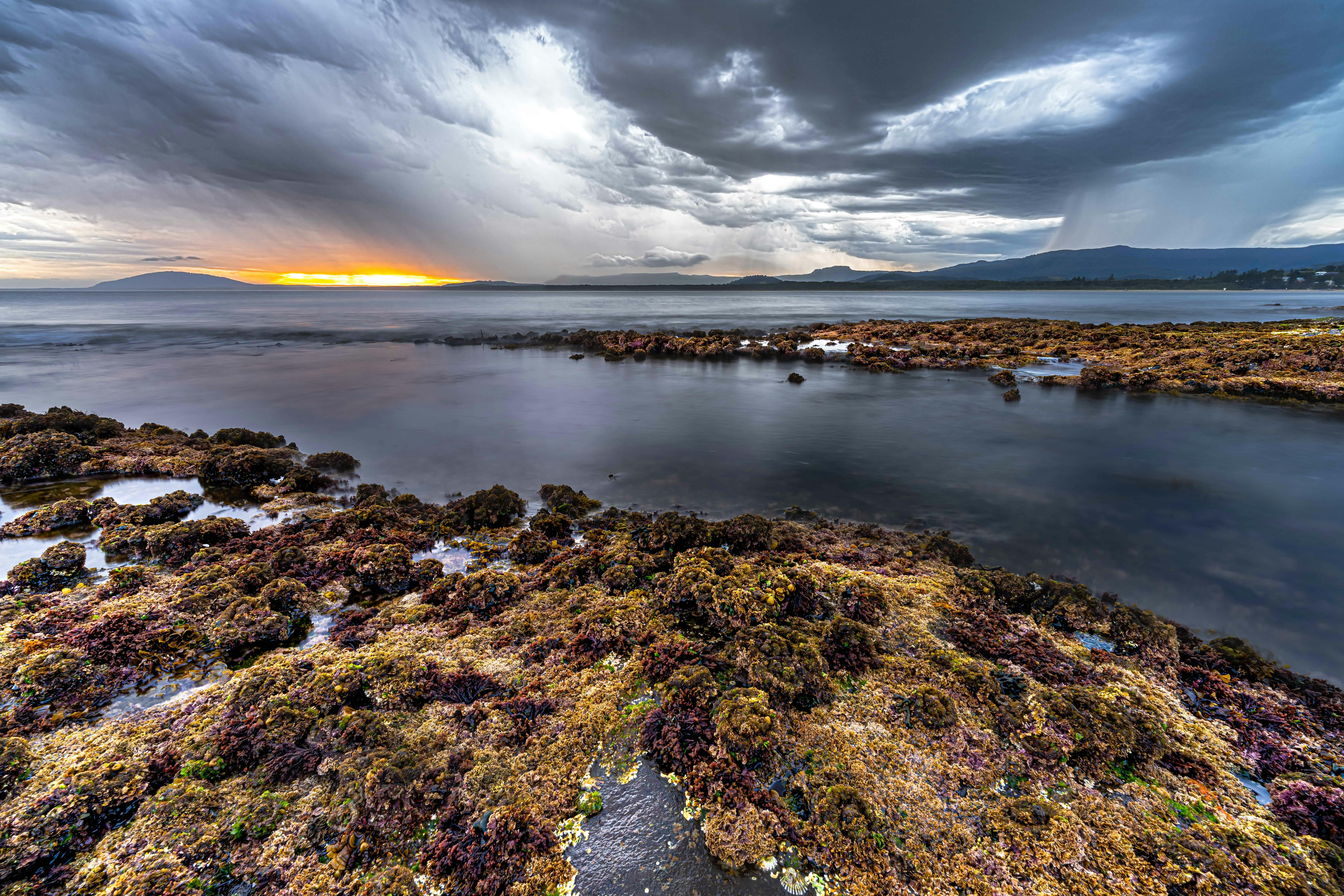 Norfolk and Co Gerringong