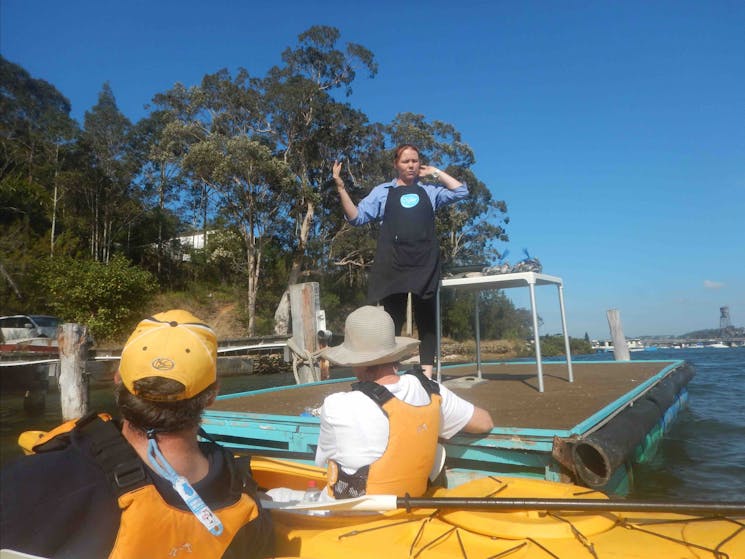 Hear stories from Oyster growers