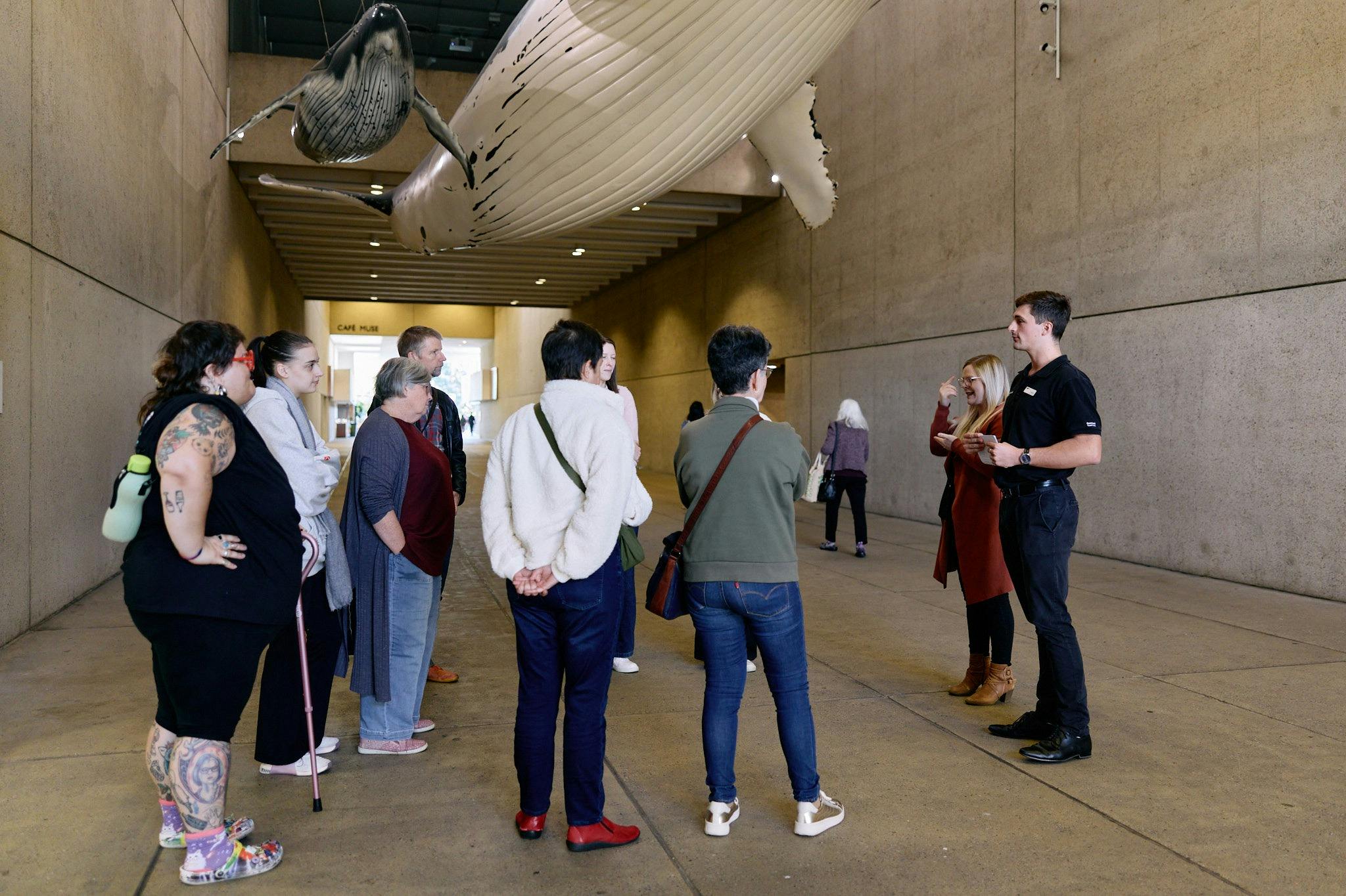 Queensland Museum Kurilpa Auslan Interpreted Highlights Tour