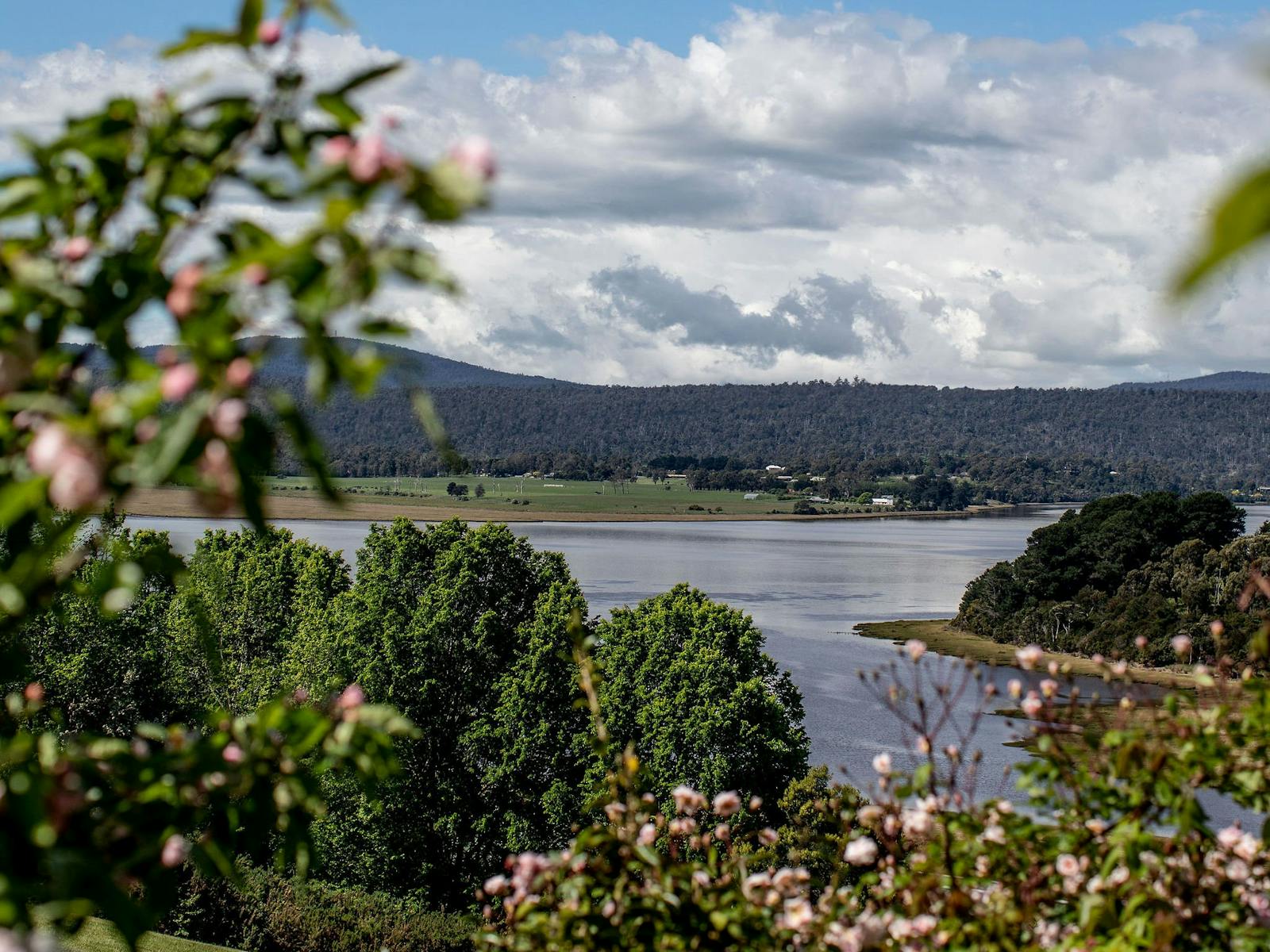 View of the Tamar
