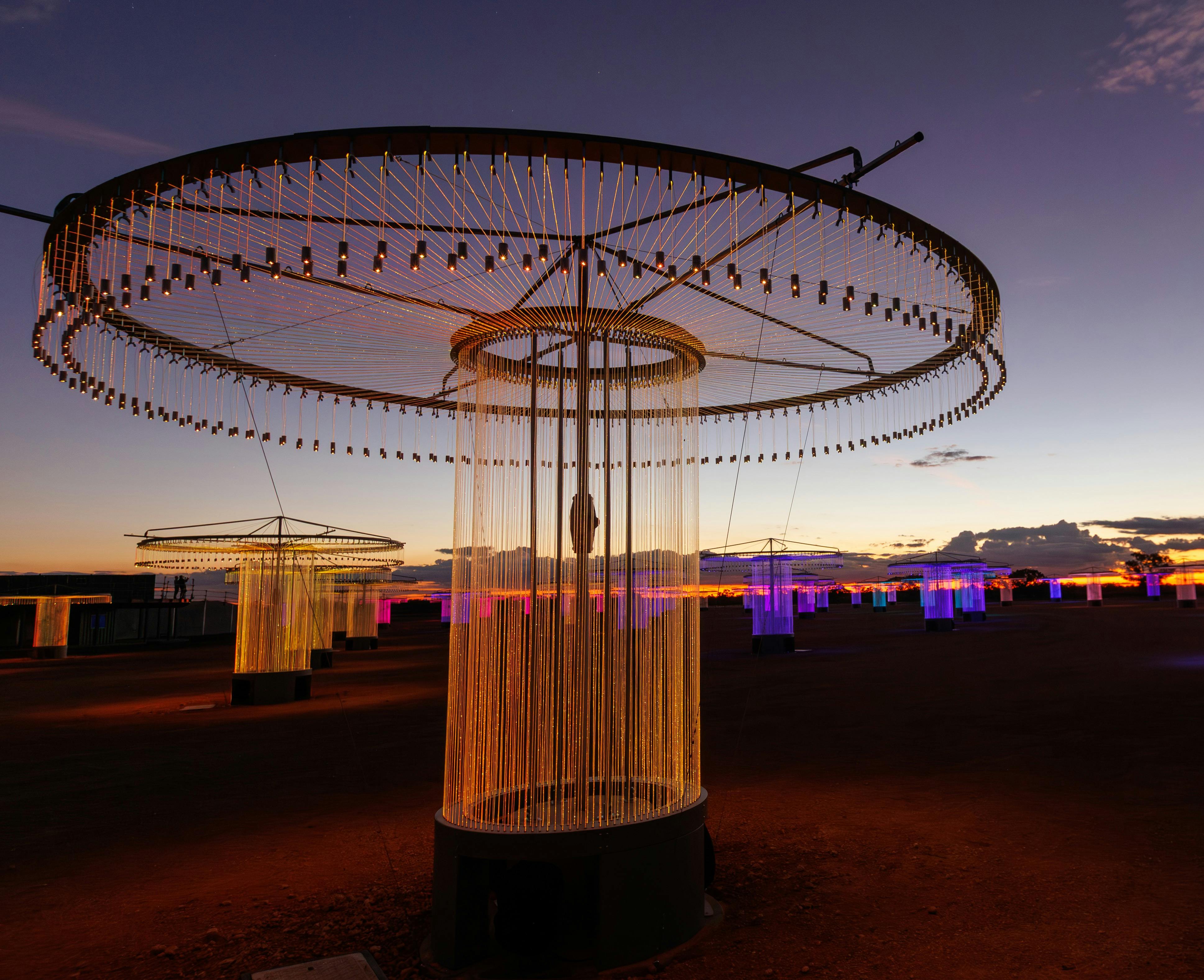FOSO (Fibre Optic Symphonic Orchestra) by Bruce Munro, in Wentworth NSW.