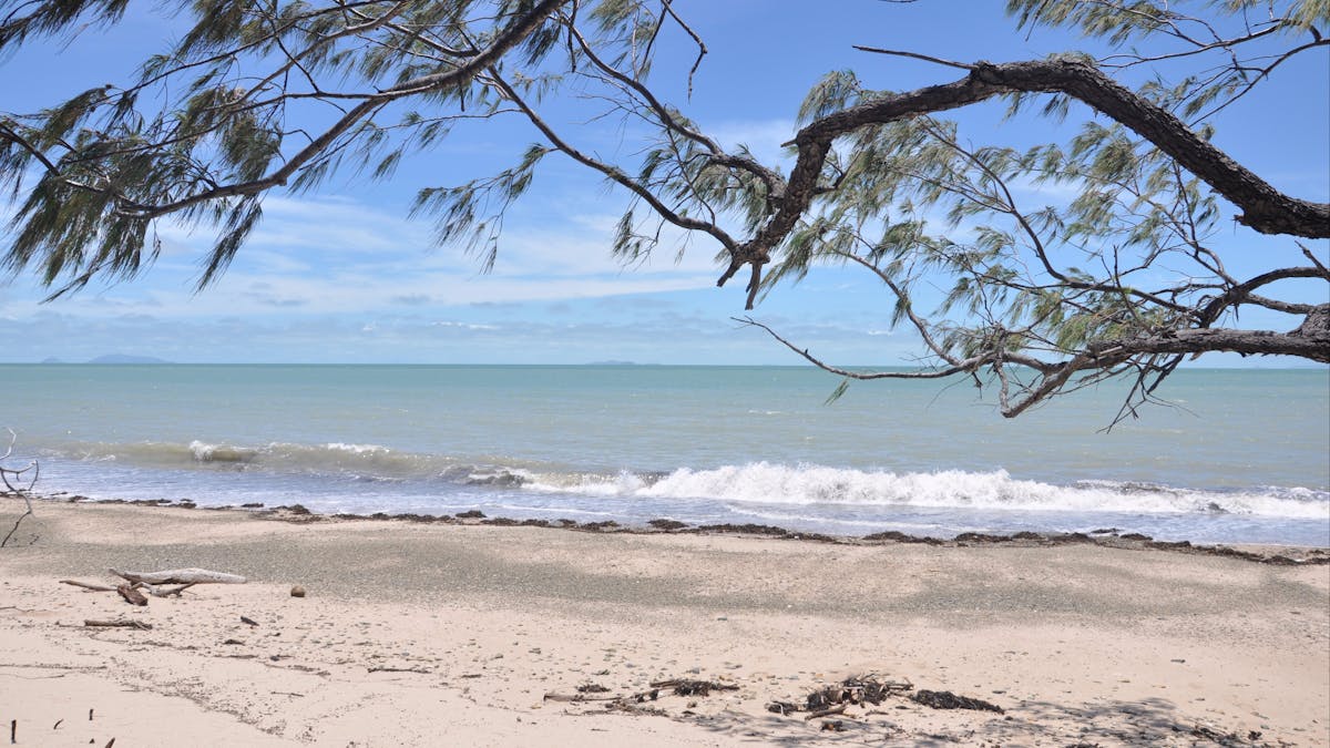 Cape Palmerston