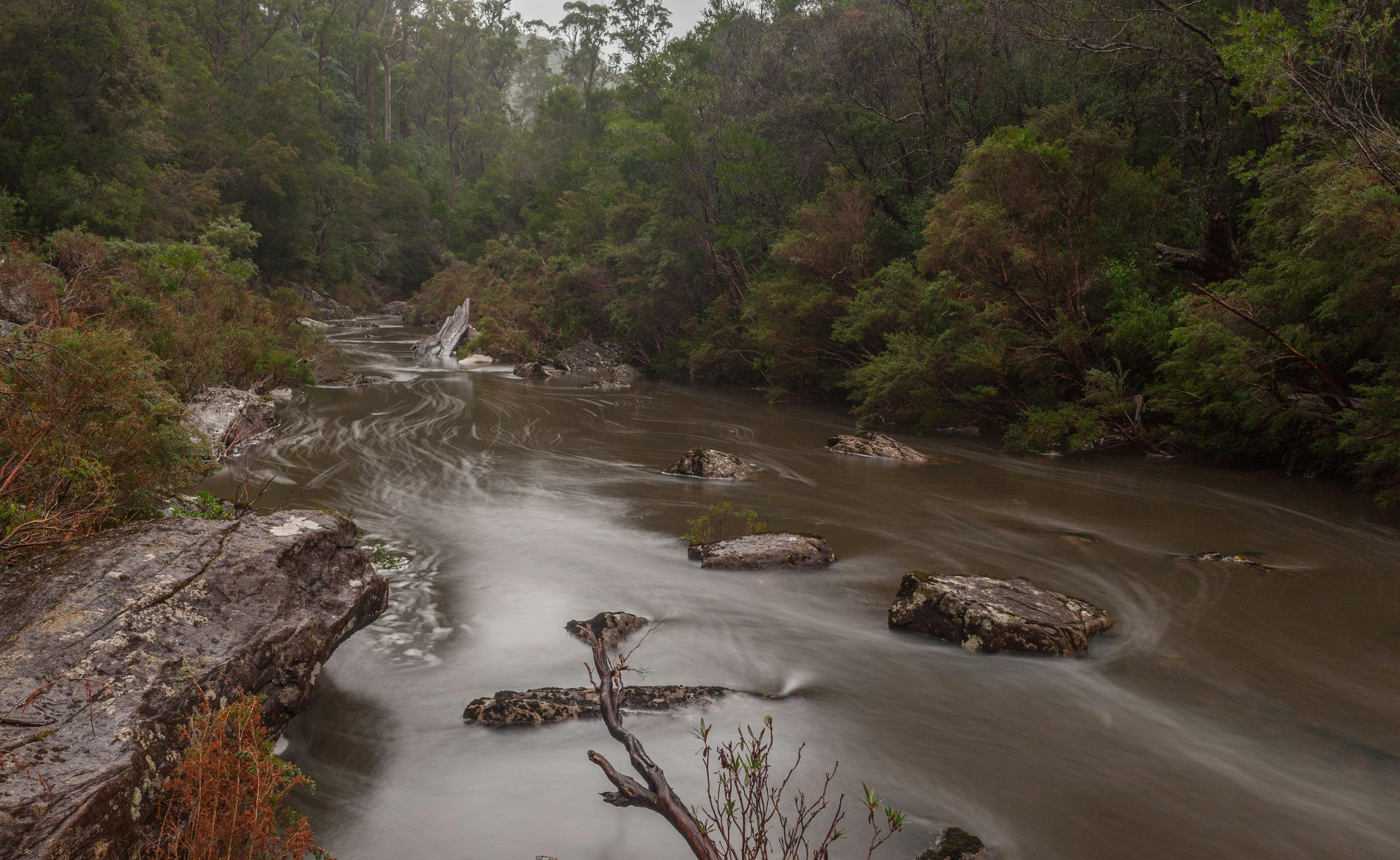 Douglas-Apsley National Park
