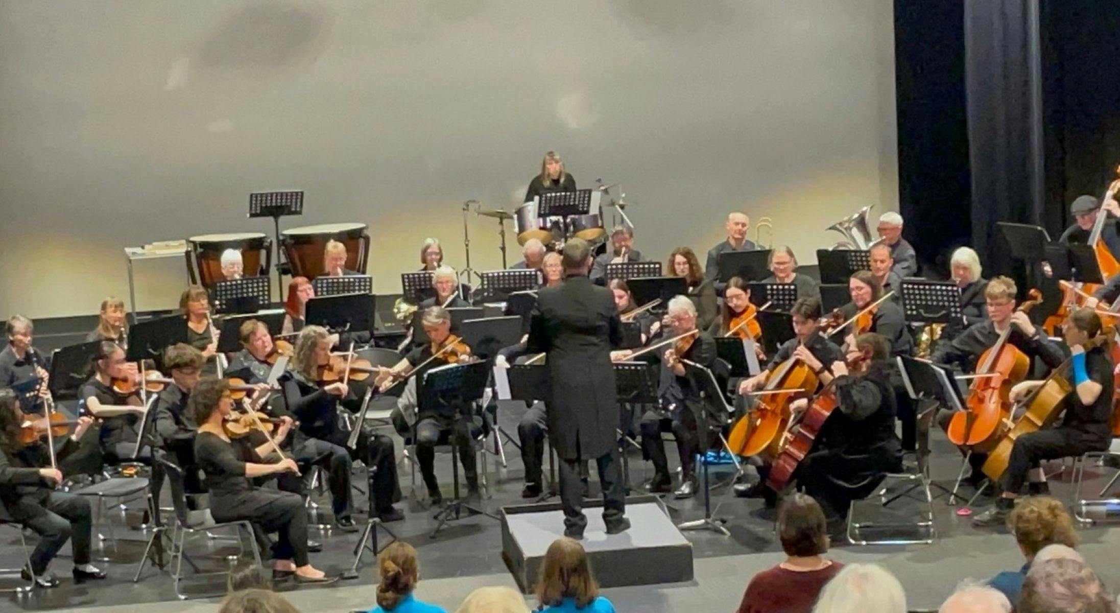 Cradle Coast Orchestra