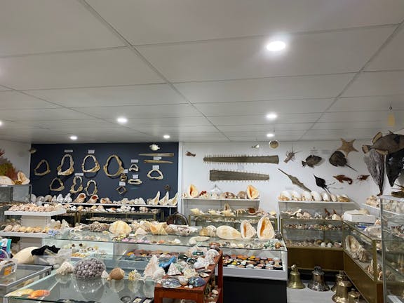 Jim's Seashells & Maritime Antiques