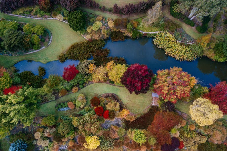 Image of the event 'Glenrock Gardens Open Garden'