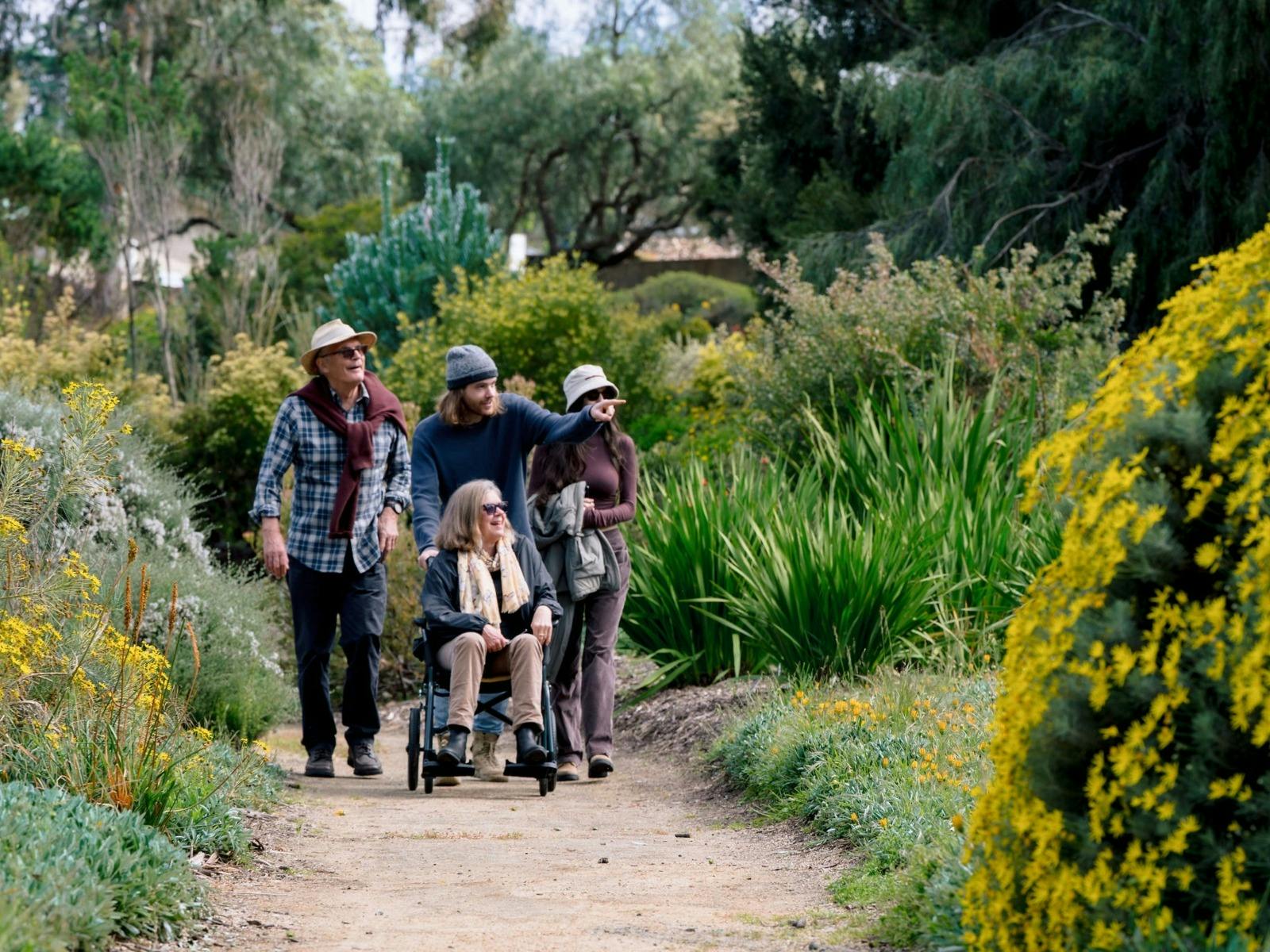 Pathways to explore with beautiful plants from Australia and South Africa
