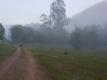 Mysterious misty mornings are a great delight. Mysterious misty mornings are a great delight.