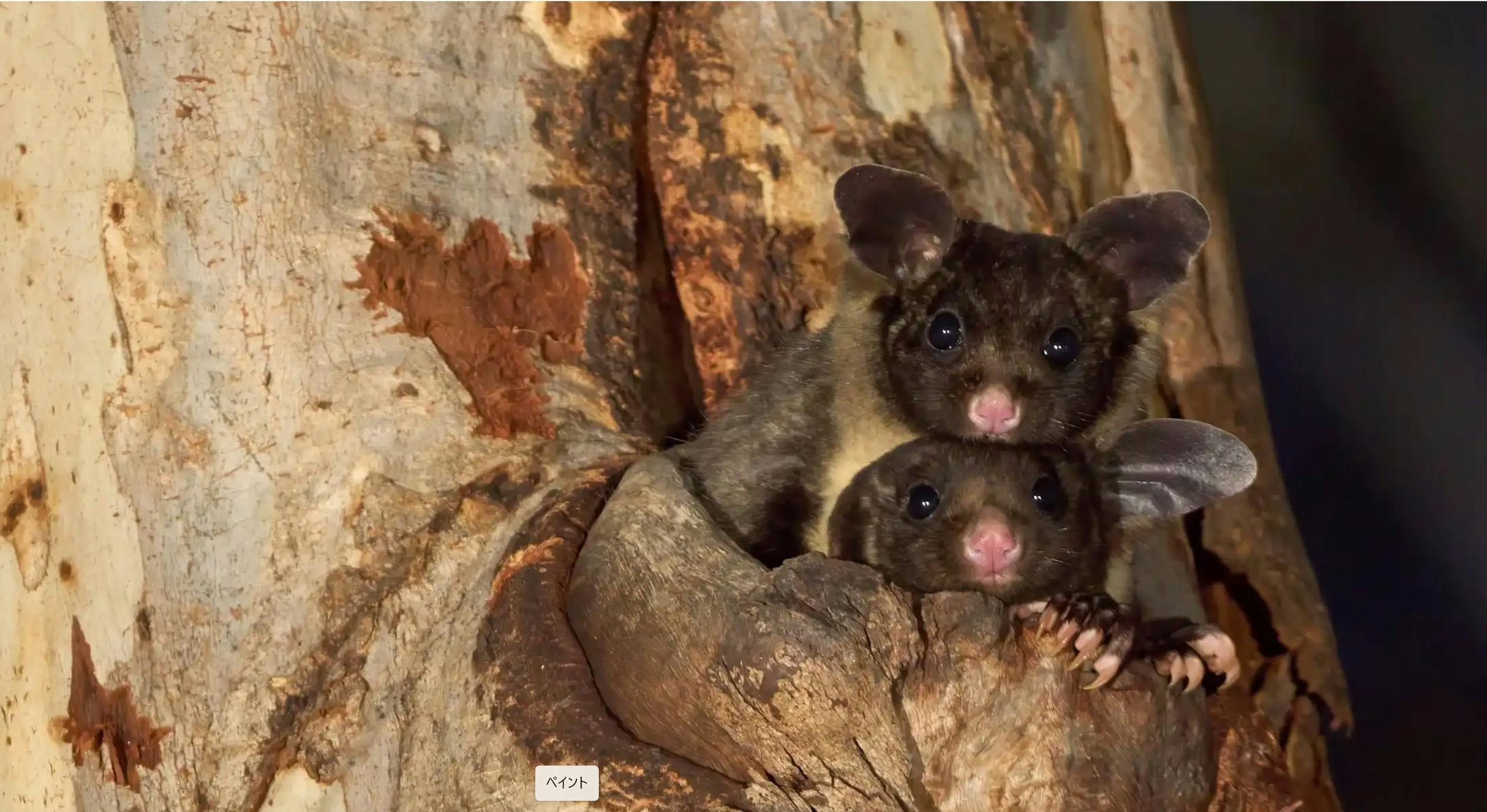 Tallaganda - Film Screening and Talk