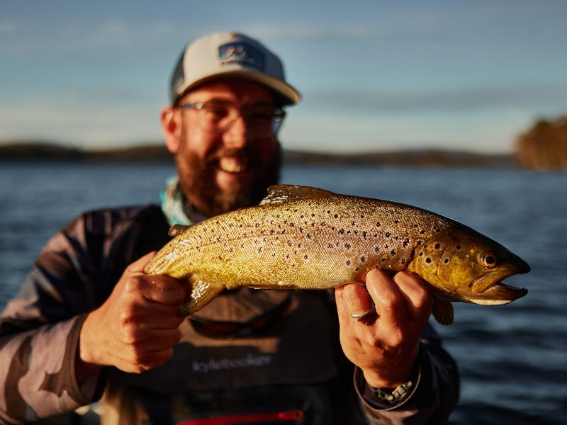Love the Western Lakes