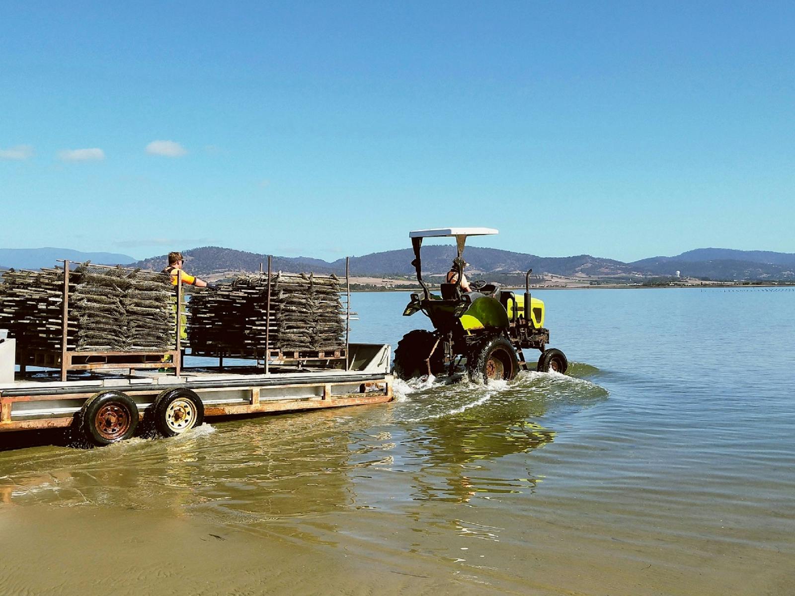 At work on our oyster farm on a beautiful sunny day.