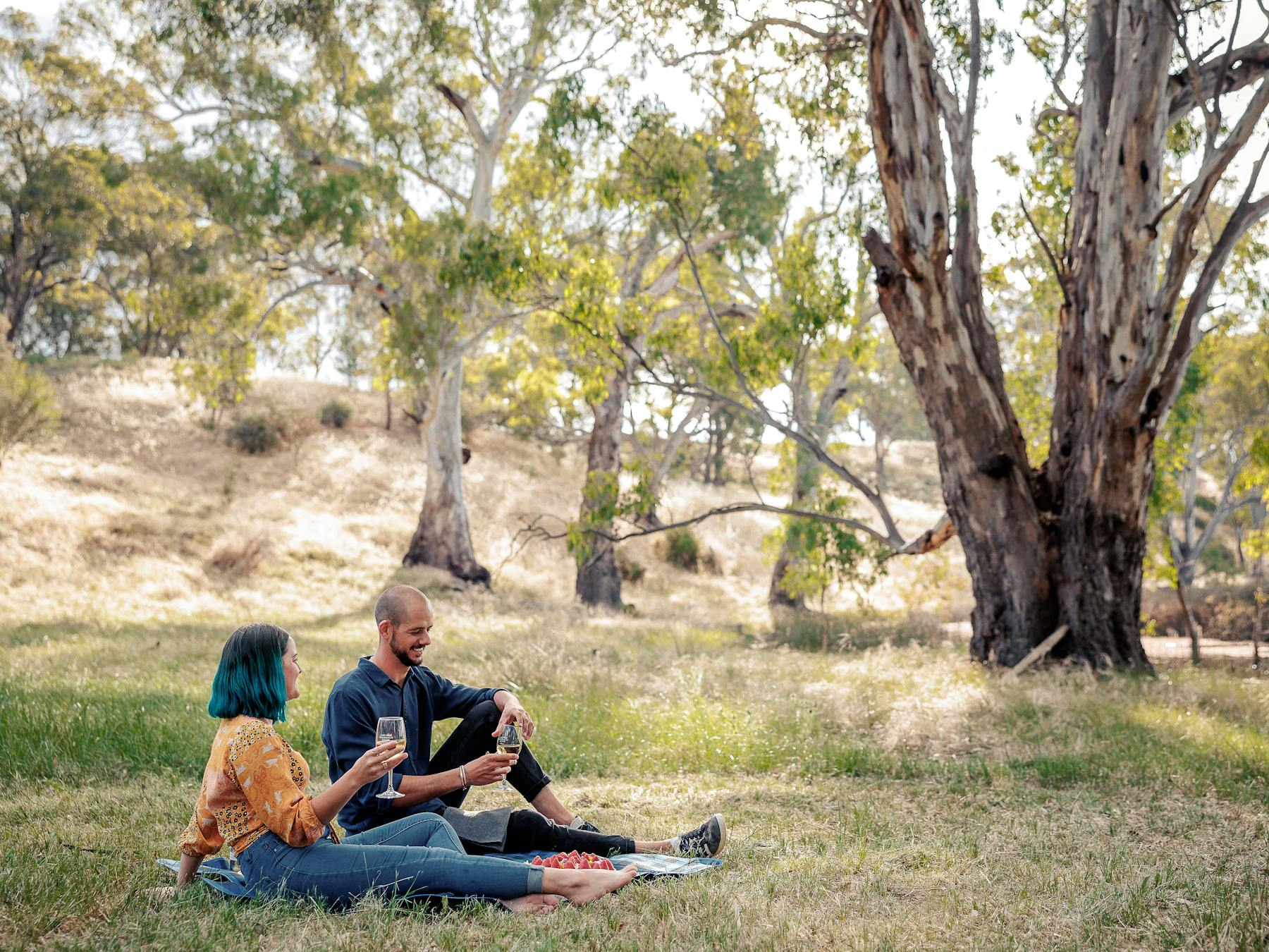 Lake Moodemere picnic, Rutherglen