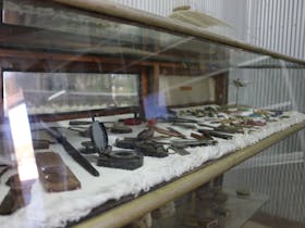 The Jackson Collections