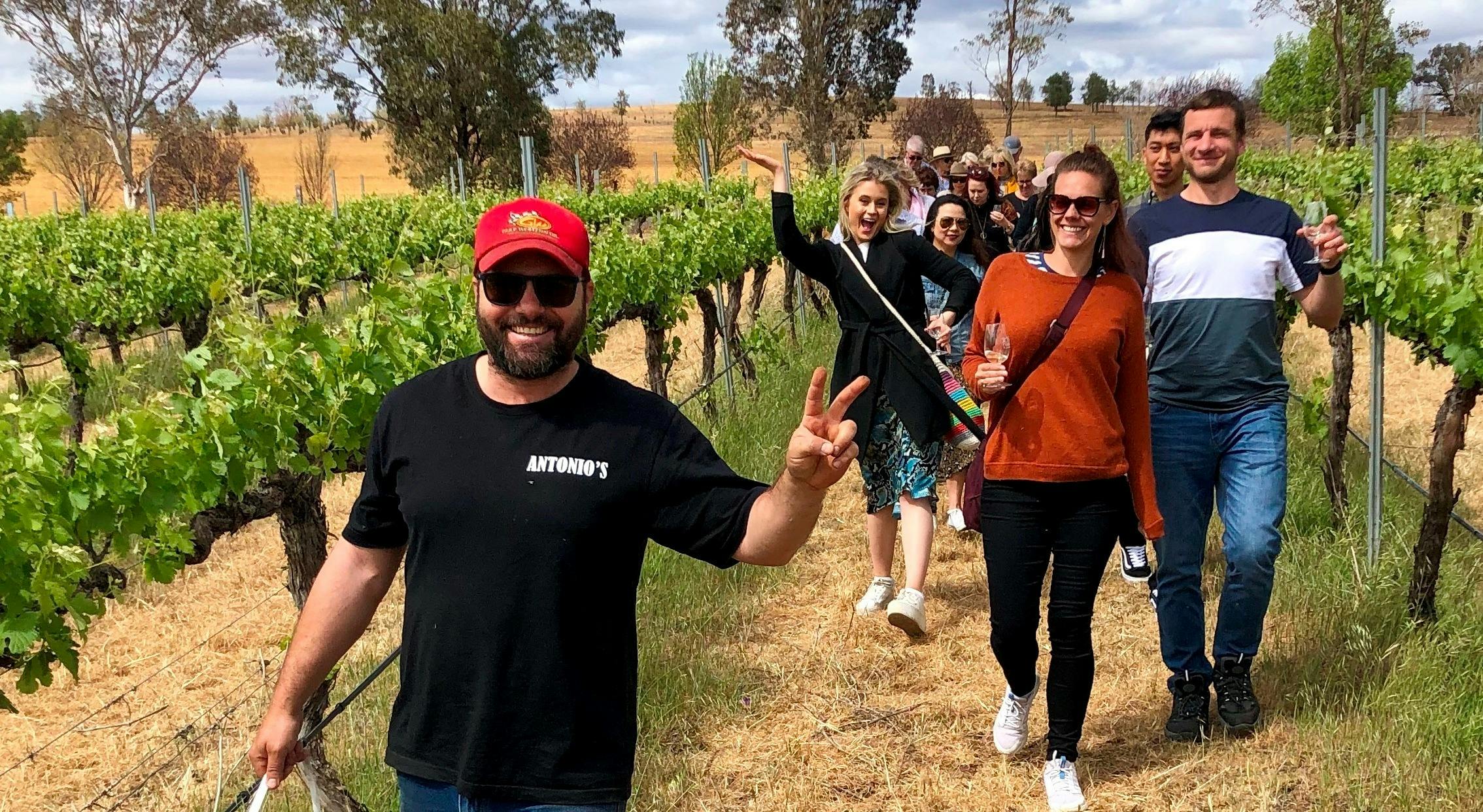 Antonio's Vineyard Tour
