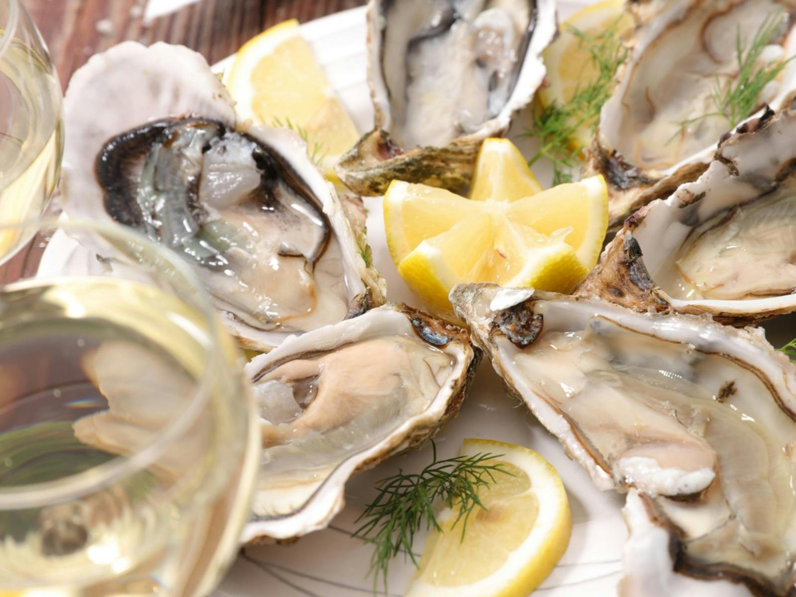 Oysters