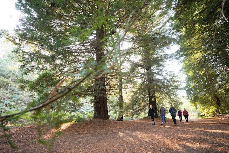 Nature Therapy in Adelaide Big Heart Adventures