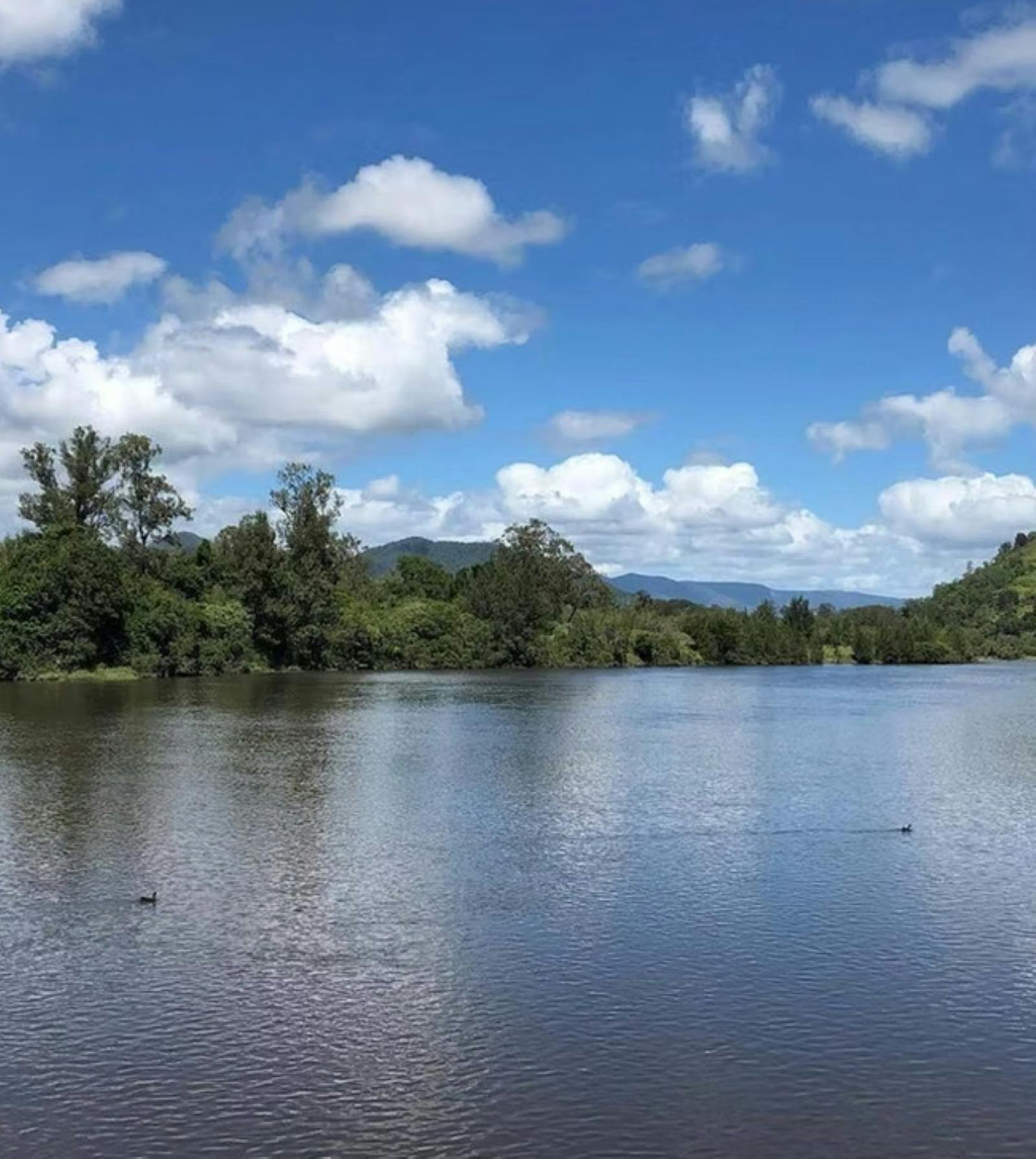 ベルメドウホームステッド