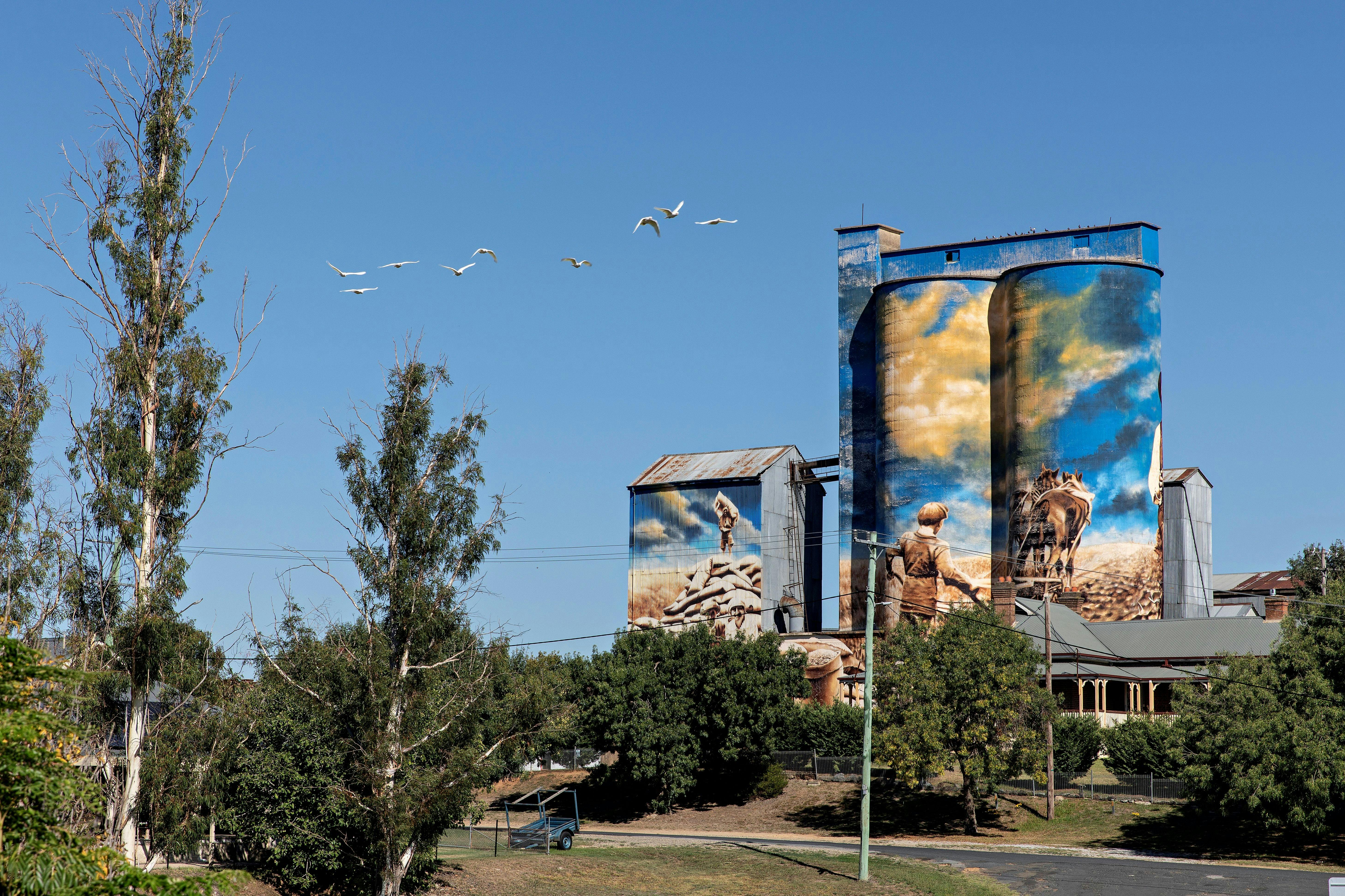 Blick auf die Silo-Kunst vom Coddington Park aus
