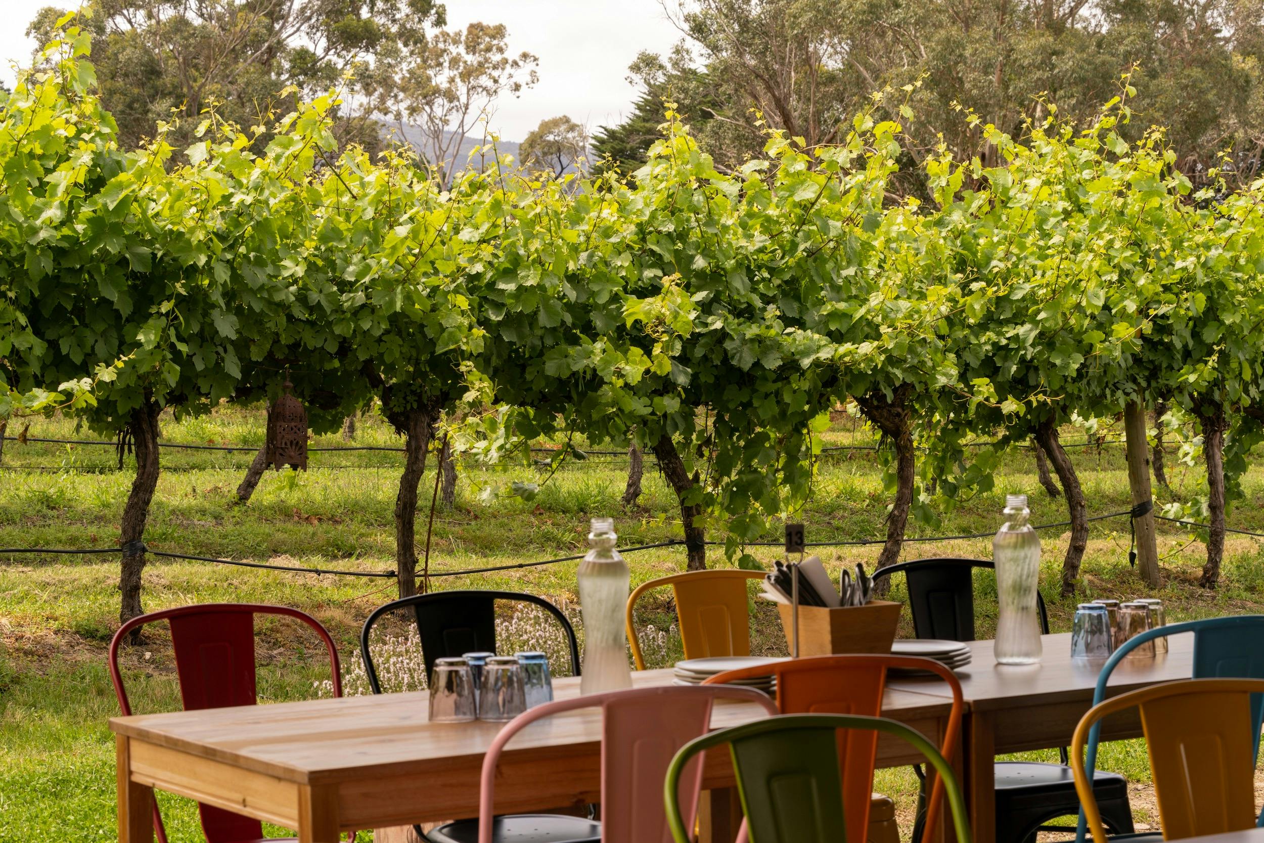 Many Hands Winery