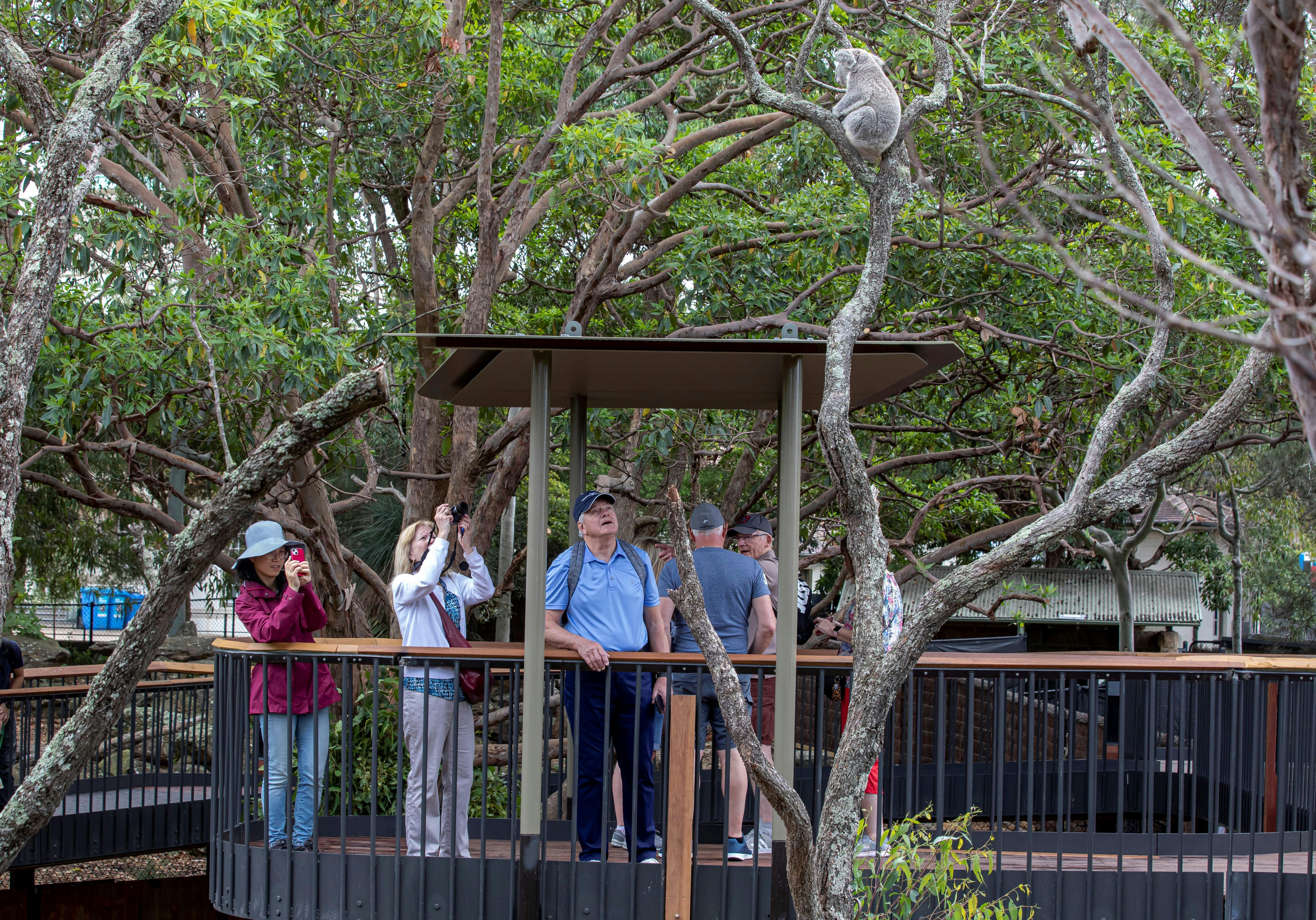 Perfect Photo Opportunities