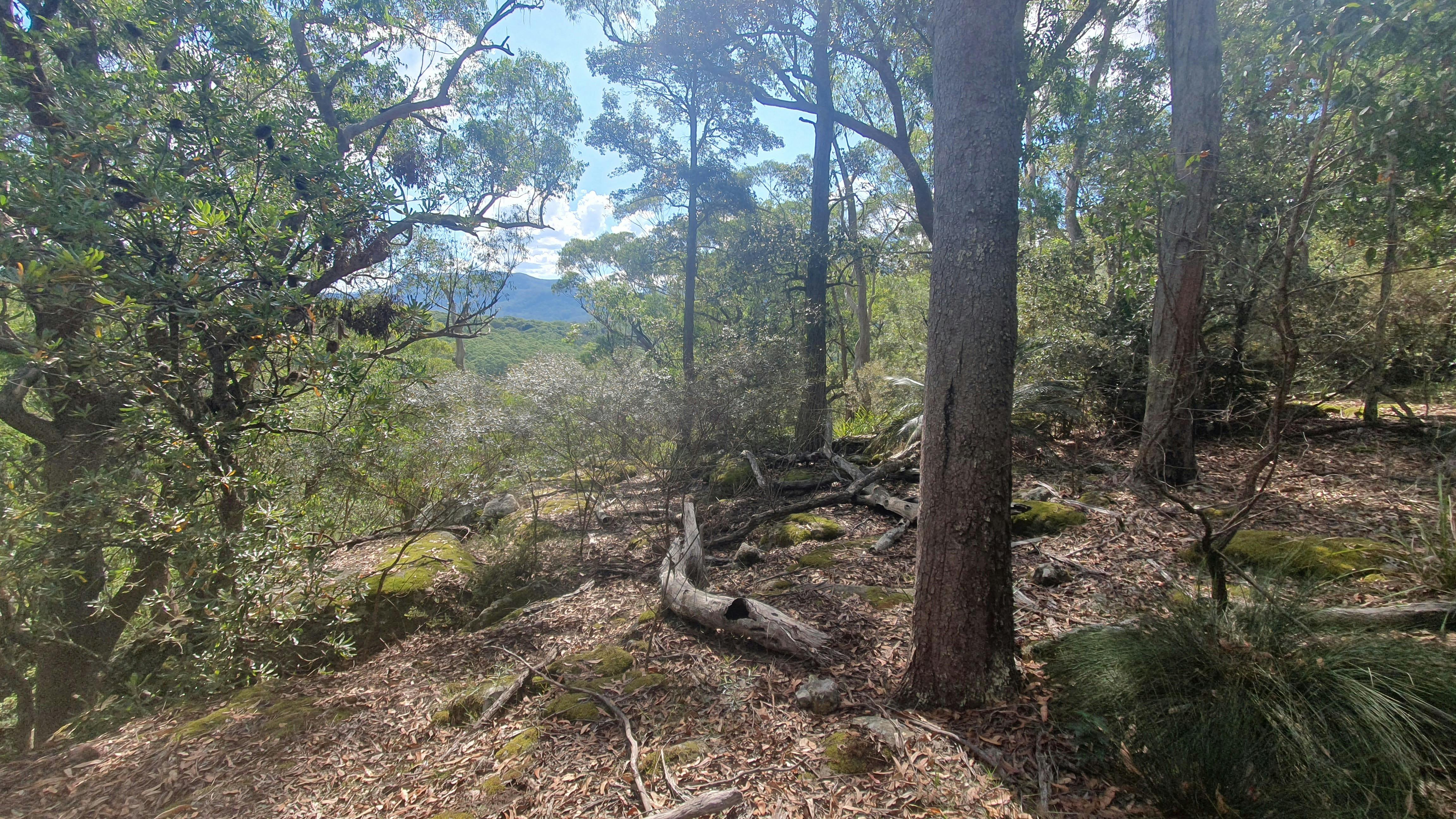 Distant View
