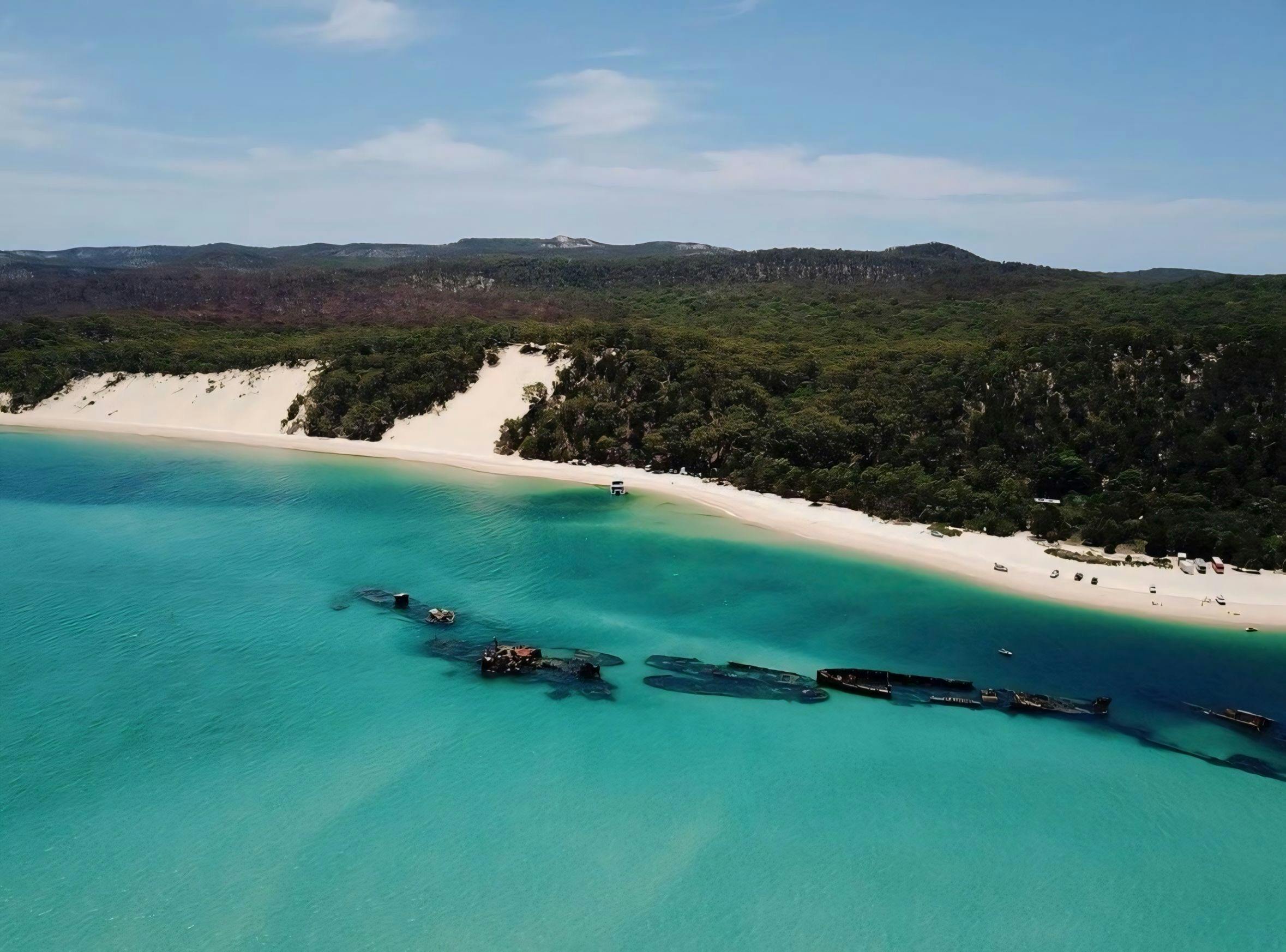 tangalooma wrecks