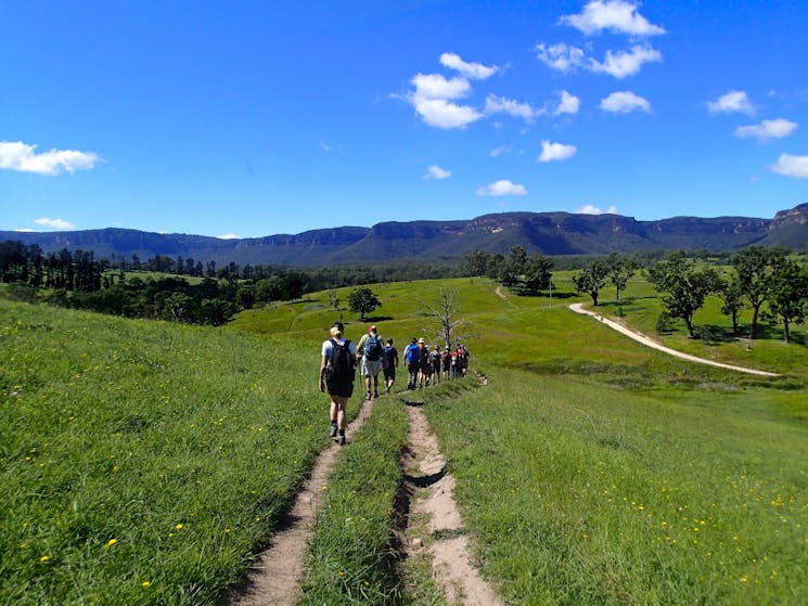 Lifes an Adventure - The Pack free Walking Experience