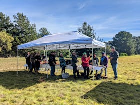 Participants identifying fungi