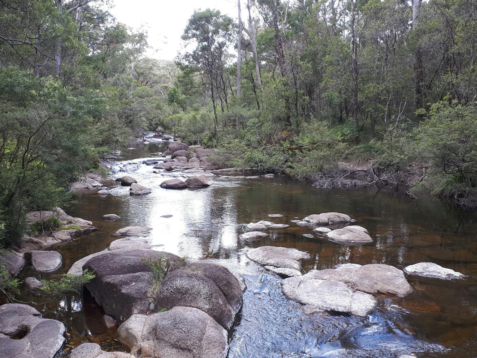 Image for Gibraltar Range morning tea and tour