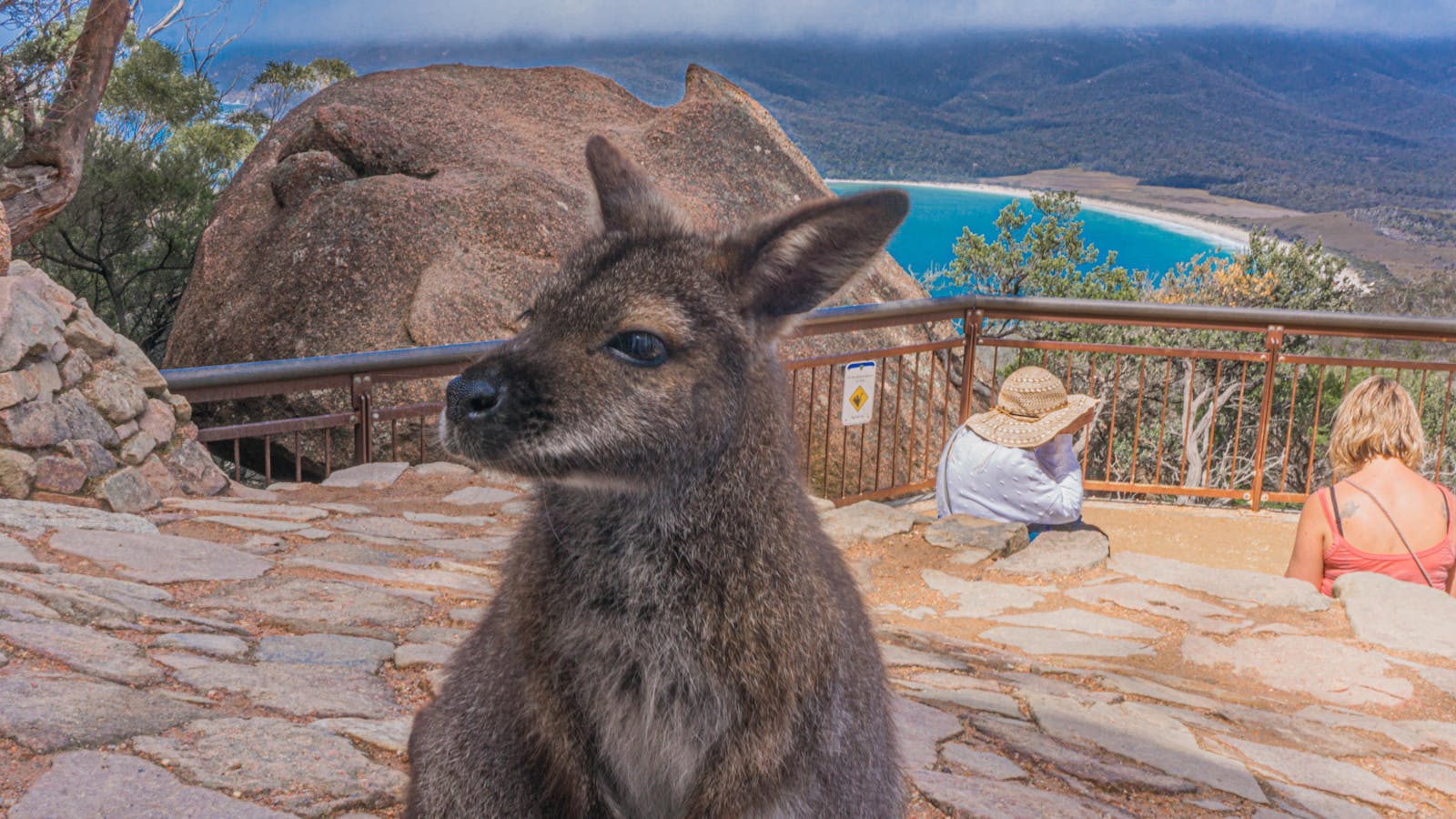 Wineglass Bay