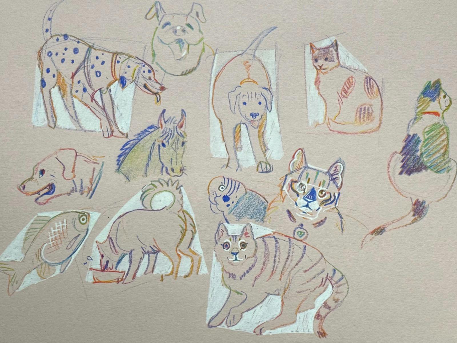 Drawings of animals by artist Tullulah Cunningham