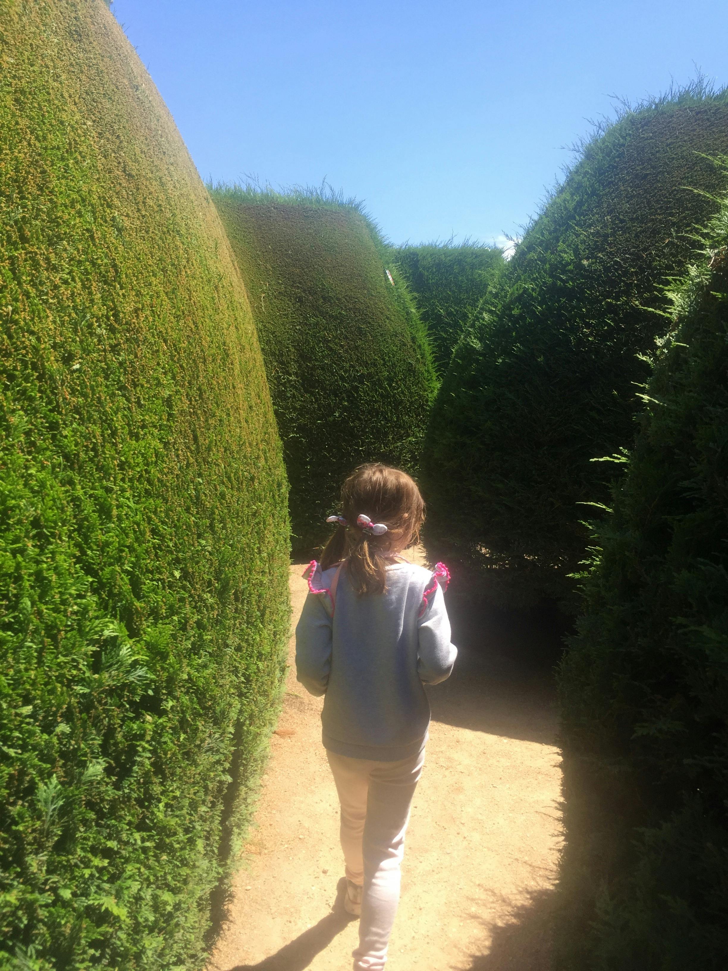 Summer holidays at Maze House