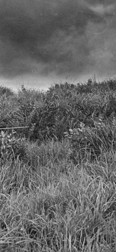 Black and white image in a field with two people wielding swords