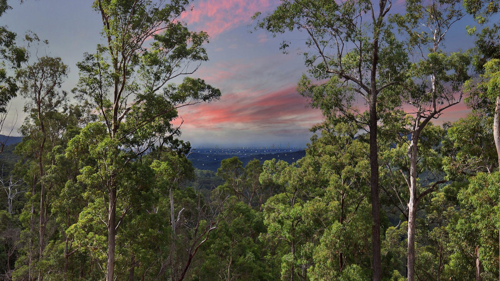 Amazing private views over looking the Austinville valley towards the Gold Coast city and water