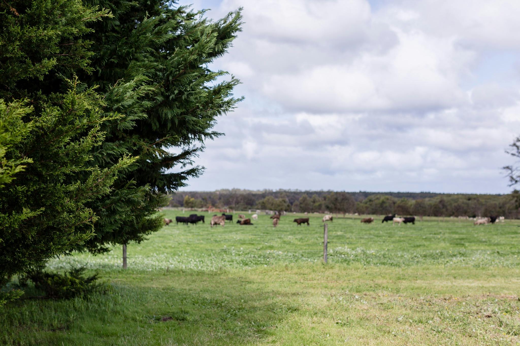 Rural setting of Karridale
