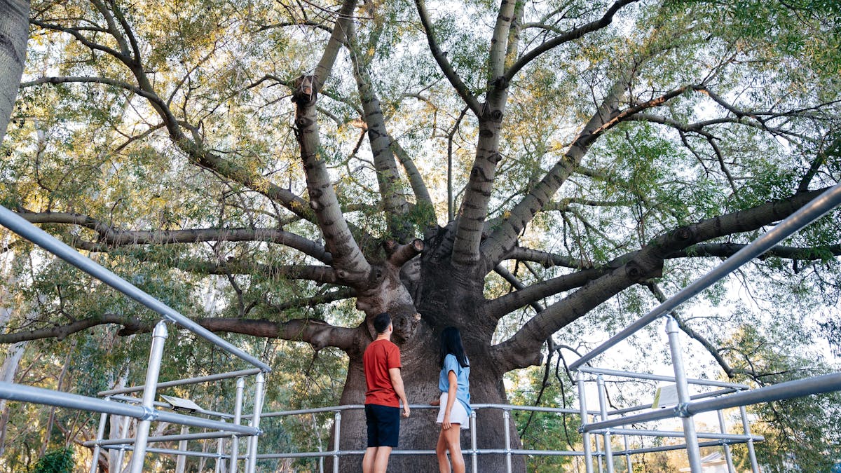 A couple looking at Roma's Largest Bottle Tree