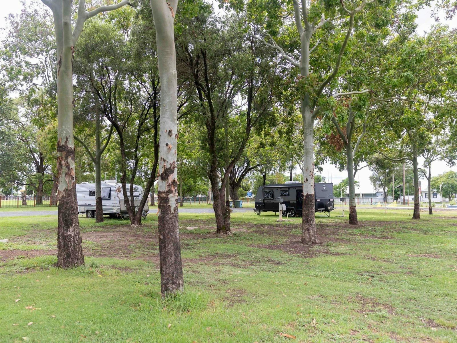 Two caravans set up amongst the trees