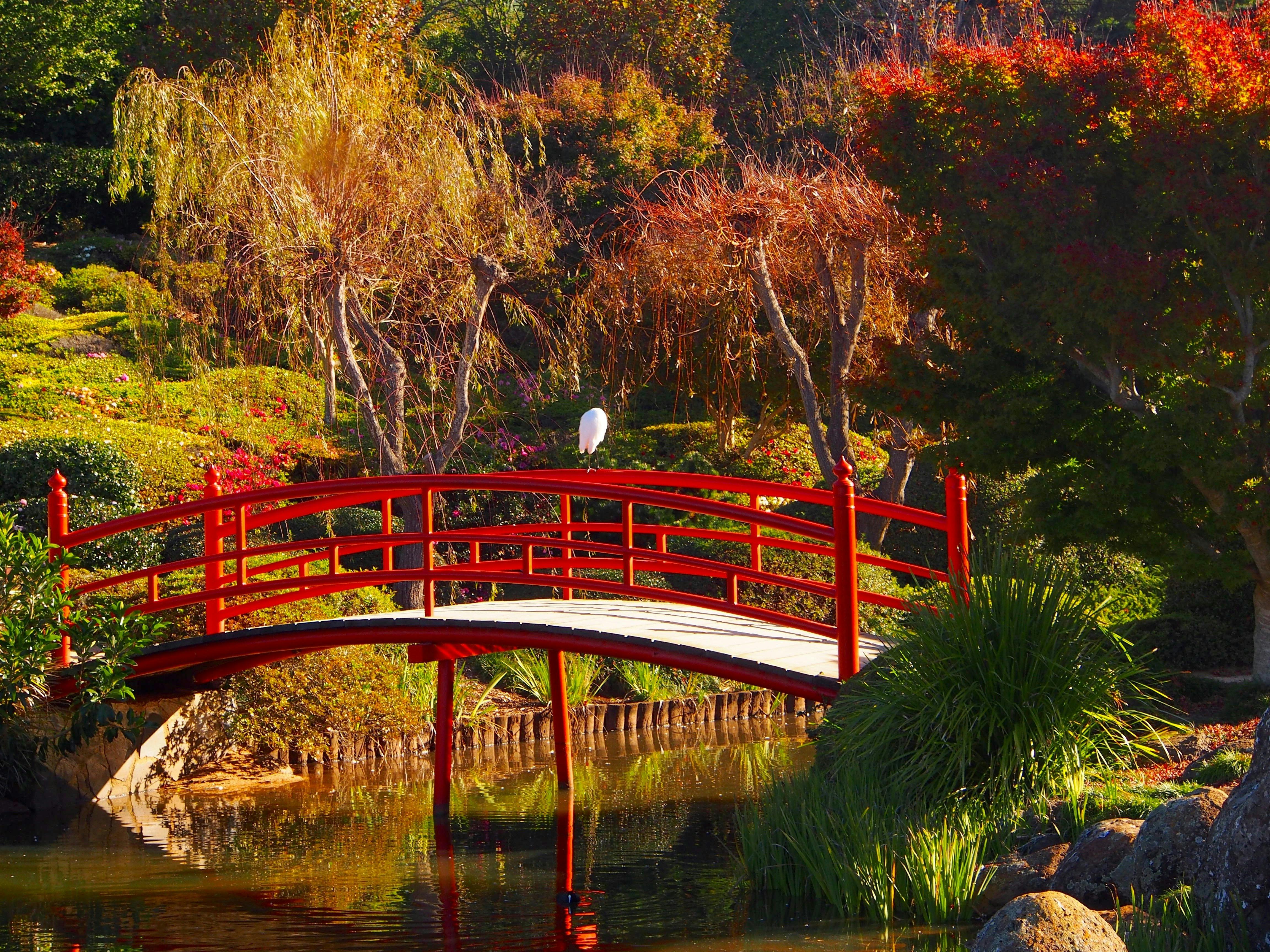 red bridge over water in Ju Raku En Japanese Garden
