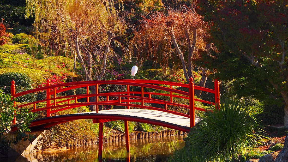 red bridge over water in Ju Raku En Japanese Garden