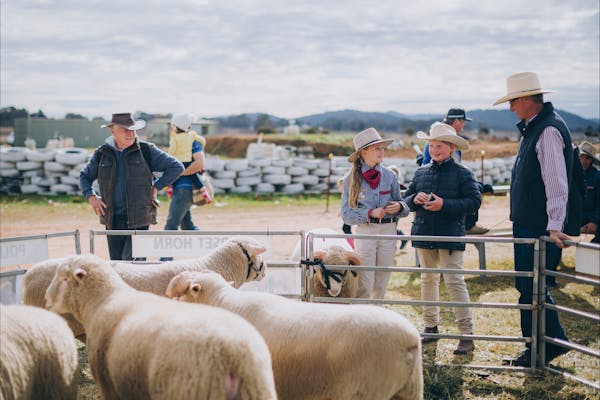 Mudgee Small Farm Field Days