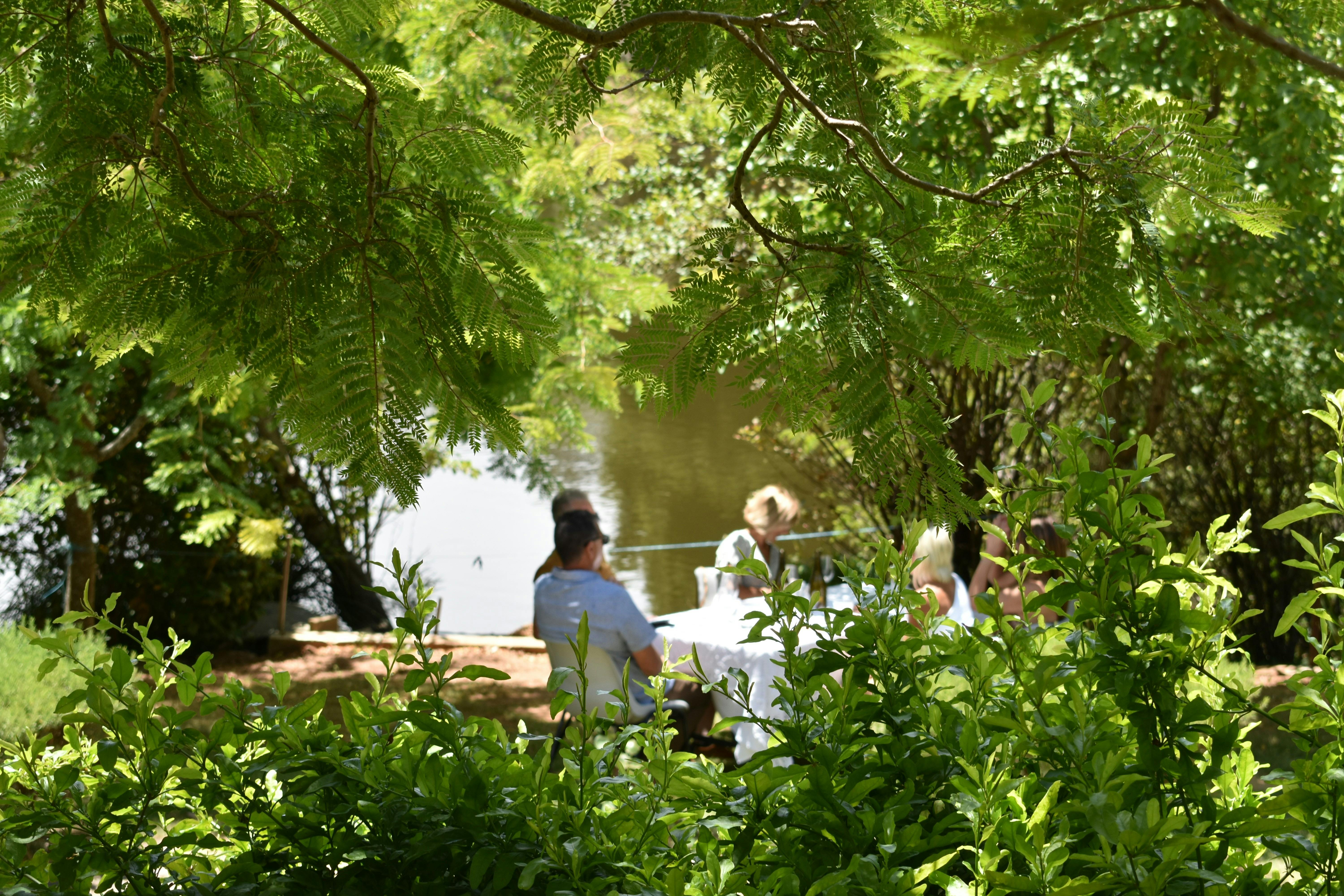 Sitting by the water enjoying lunch