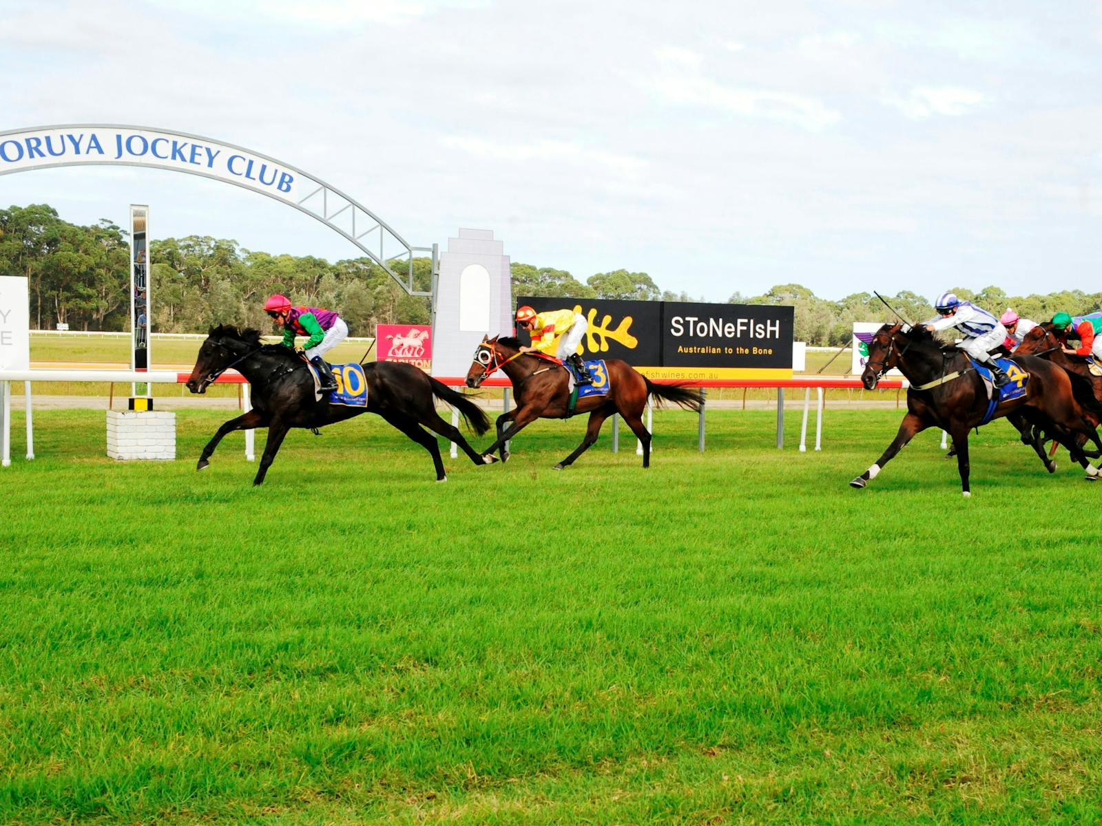 Image for Narooma Cup Race Day June