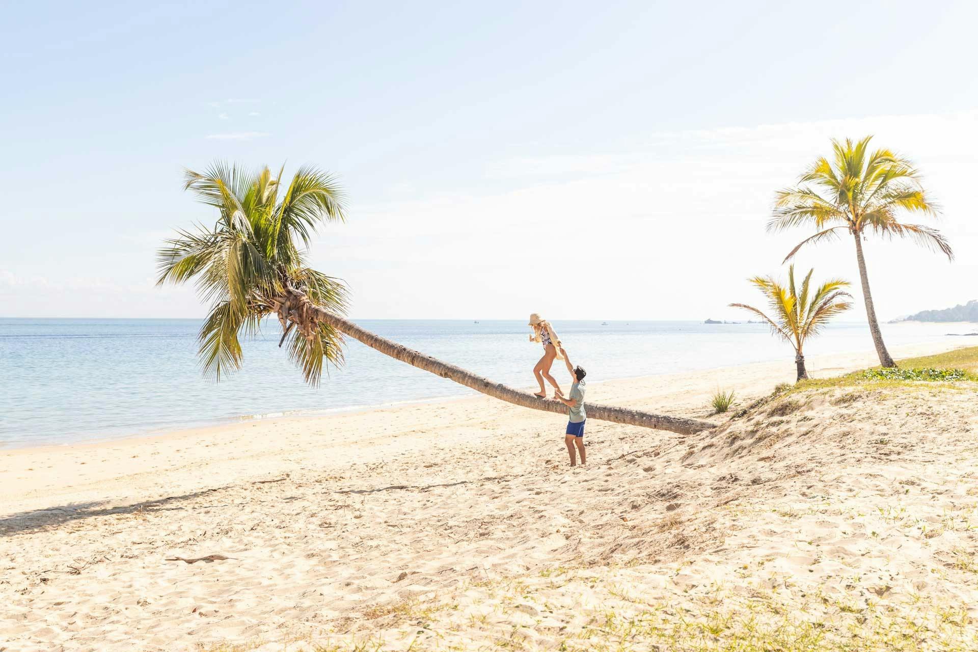 Couple walking along the Tangalooma Leaning Palm with the beach in the background